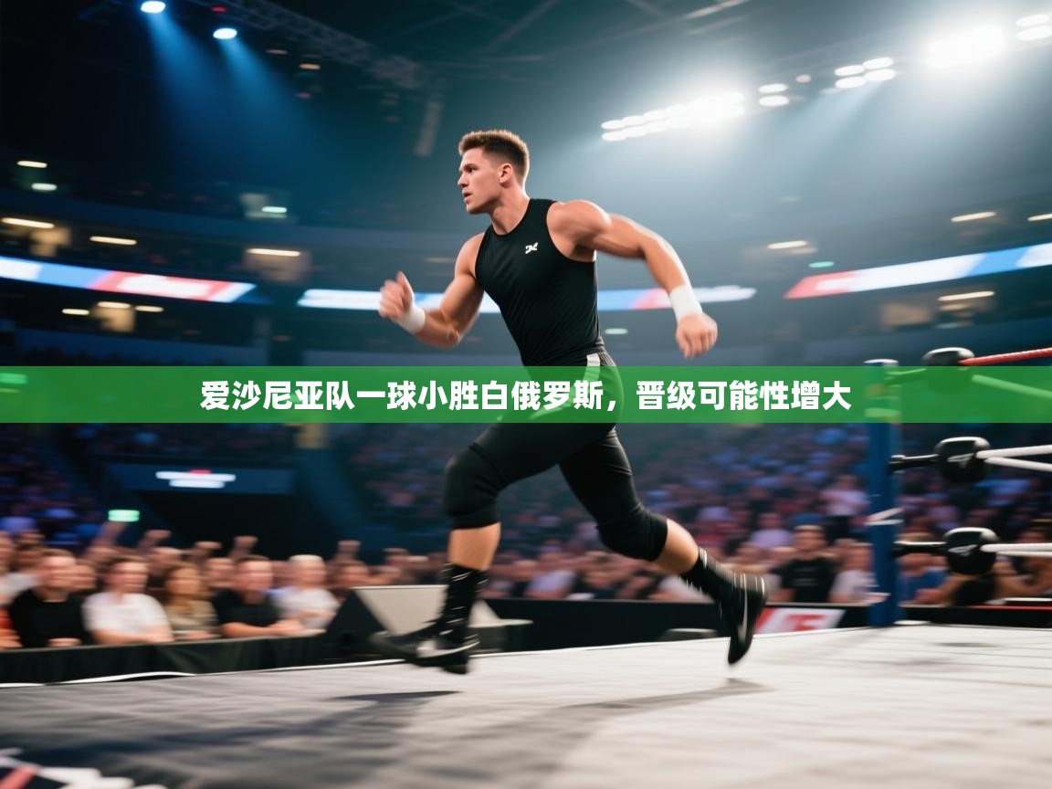 爱沙尼亚队一球小胜白俄罗斯，晋级可能性增大  第2张